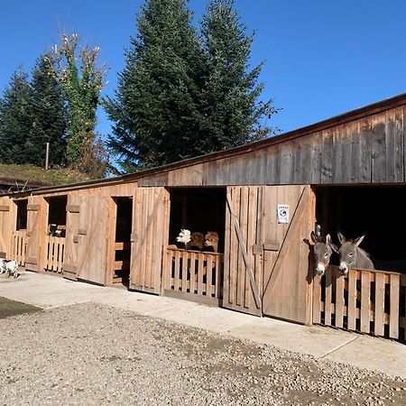 Pokoje Goscinne Jurgowianka Exterior foto
